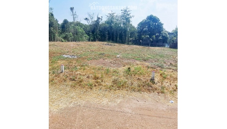 5m×25m 2 MẶT TIỀN  TP LONG KHÁNH, ĐN  NGAY TRƯỜNG HỌC MN đến CẤP 3  GIÁ CHỈ 790Tr