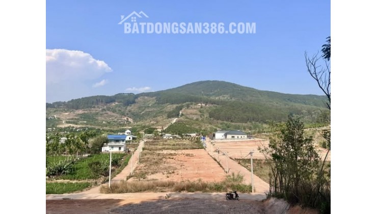 ĐẤT 2 MẶT TIỀN – THUNG LŨNG THÔNG XANH, KHÔNG GIAN SỐNG CHẠM CẢM XÚC