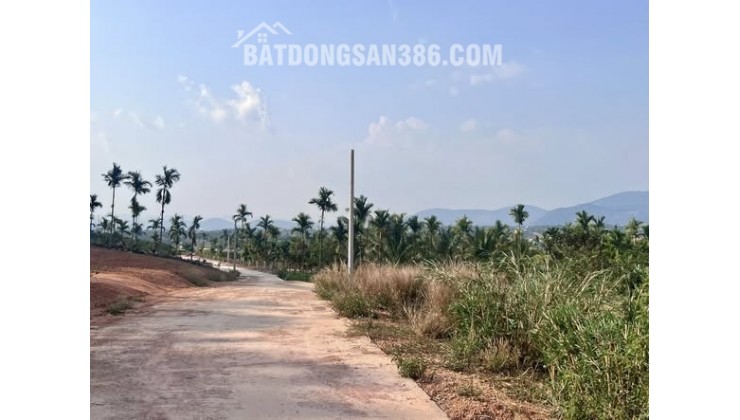 ĐẤT 2 MẶT TIỀN – THUNG LŨNG THÔNG XANH, KHÔNG GIAN SỐNG CHẠM CẢM XÚC