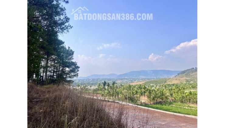 ĐẤT 2 MẶT TIỀN – THUNG LŨNG THÔNG XANH, KHÔNG GIAN SỐNG CHẠM CẢM XÚC