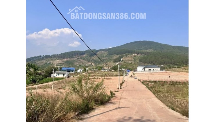 ĐẤT 2 MẶT TIỀN – THUNG LŨNG THÔNG XANH, KHÔNG GIAN SỐNG CHẠM CẢM XÚC