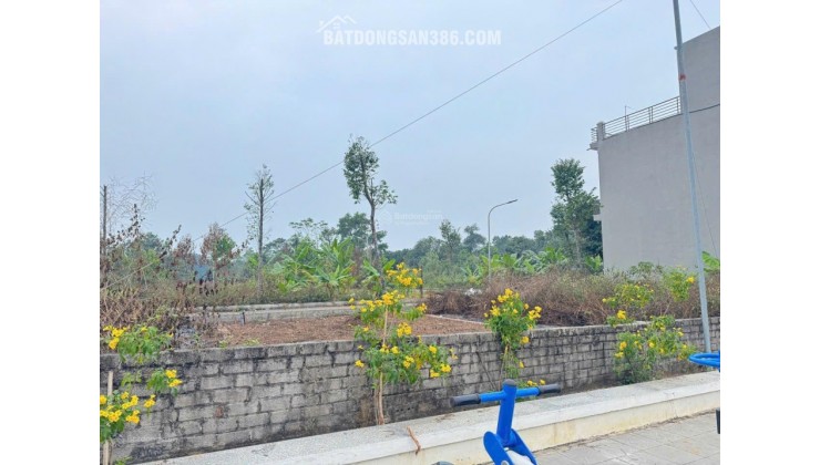 Bán 60,5m2 CỔ ĐÔNG, Sơn Tây gần LÀNG ĐHQG giá chỉ 2,350 tỷ/lô