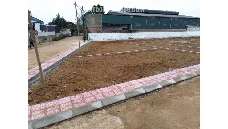 CẦN BÁN GẤP – LÔ ĐẤT VÀNG TRỤC CHÍNH TRẠI LÁNG PHÚC LỘC