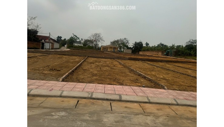 Bán Đất Thôn Cổng Sau, Hướng Đạo, khu công nghiệp Tam Dương 1, Vĩnh Phúc 100m, 800 triệu, xây nhà trọ, nhà ở.