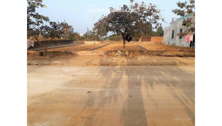 Con đi du học bán gấp khu tái định cư Vai Réo, Xã Phú Cát, Hà Nội