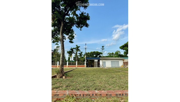 Lô đất 100m² nằm trên trục chính, vị trí cực đẹp Cổ Đông