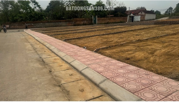 Bán Đất Thôn Cổng Sau, Hướng Đạo, khu công nghiệp Tam Dương 1, Vĩnh Phúc 100m, 800 triệu, xây nhà trọ, nhà ở.