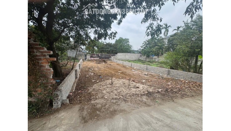 CHỦ GỬI LÔ ĐẤT GẦN TIỂU HỌC CỔ ĐÔNG GIÁ MỀM NHƯ BÚN