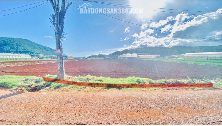 1 sào đất hẻm ql20, hiệp an cũ, đức trọng, lâm đồng