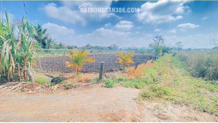 Đất hẻm Đh3, trung tâm đức trọng, lâm đồng, gần hồ nam sơn