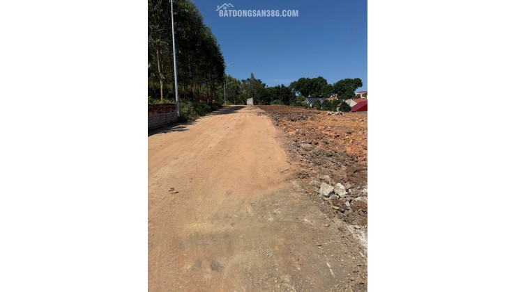 Bán đất Thượng Tùng, Yên Dũng, Bắc Giang. 106m2- Mt 6,3m. đường ô tô. giá 890 triệu