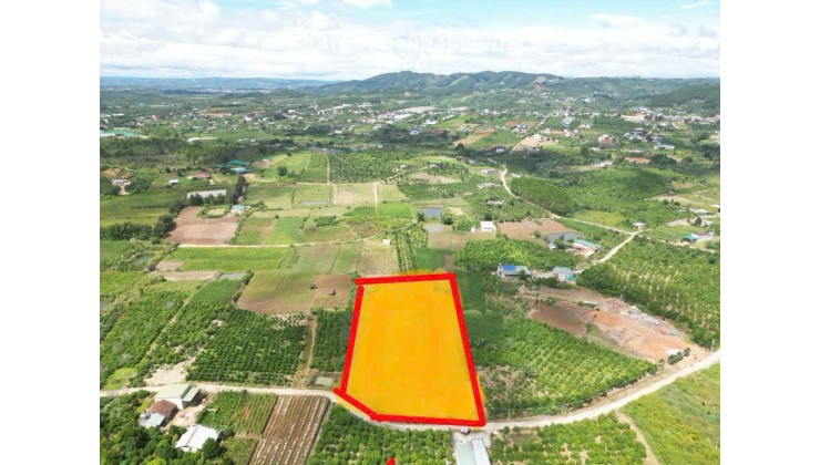 6,9 sào khu biệt thự nghỉ dưỡng, thuộc gia lâm, nam ban, lâm hà