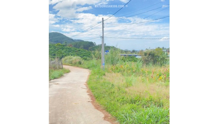 6,9 sào khu biệt thự nghỉ dưỡng, thuộc gia lâm, nam ban, lâm hà