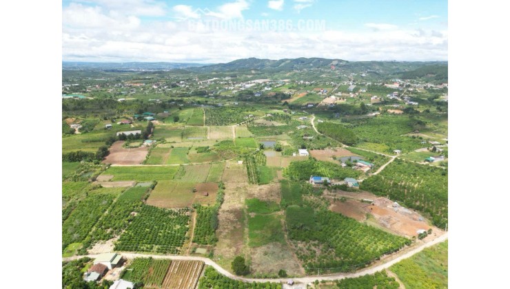 6,9 sào khu biệt thự nghỉ dưỡng, thuộc gia lâm, nam ban, lâm hà