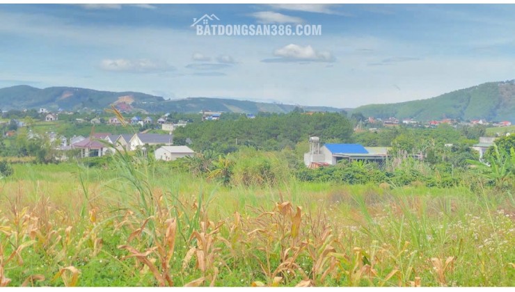 6,9 sào khu biệt thự nghỉ dưỡng, thuộc gia lâm, nam ban, lâm hà