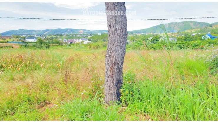 6,9 sào khu biệt thự nghỉ dưỡng, thuộc gia lâm, nam ban, lâm hà