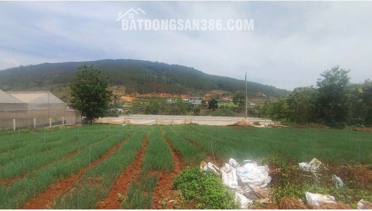 Tổng 4200m2 đất mặt tiền ql20, hiệp an đức trọng, lâm đồng