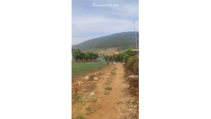 Tổng 4200m2 đất mặt tiền ql20, hiệp an đức trọng, lâm đồng