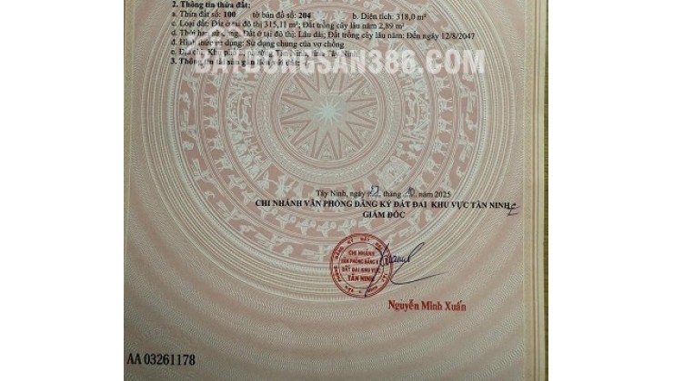 CHO THUÊ MẶT BẰNG 318M2( NGANG 10M, DÀI 31M) MẶT TIỀN NGUYỄN VĂN RỐP, KP8, P.TÂN NINH, TP.TÂY NINH, TÂY NINH