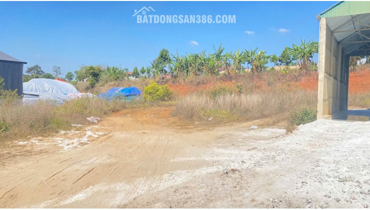 Bán 1.851m2 đất mặt tiền quốc lộ 20, phú hội cũ, đức trọng, lâm đồng