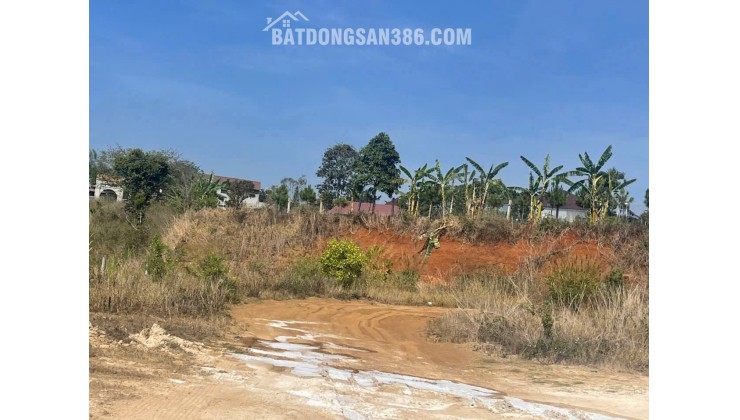 Bán 1.851m2 đất mặt tiền quốc lộ 20, phú hội cũ, đức trọng, lâm đồng