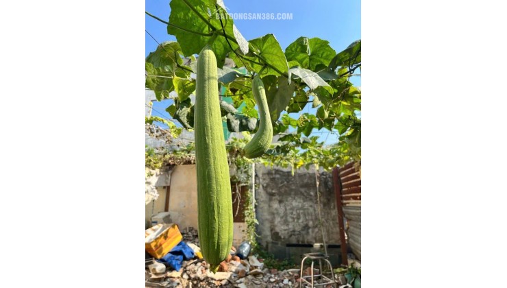 120m2 Đất ở Full Thổ Cư, Nguyễn Bình, Làng Đại Học Nhà Bè, XD tự do Chỉ 3.7 Tỷ