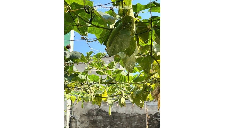 120m2 Đất ở Full Thổ Cư, Nguyễn Bình, Làng Đại Học Nhà Bè, XD tự do Chỉ 3.7 Tỷ