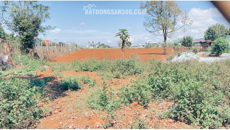 5 sào, ôm 42m mặt tiền quốc lộ 20, gần ngay trung tâm đức trọng, lâm đồng