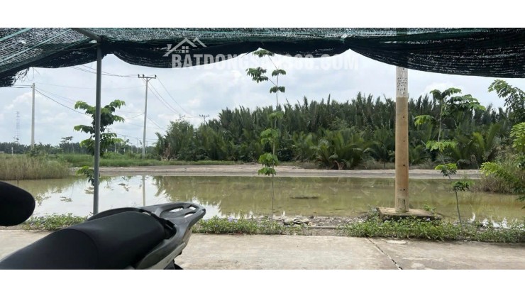 BÁN 555M2 ĐẤT SẴN SỔ MẶT TIỀN ĐƯỜNG CÁ SÚC-BÌNH KHÁNH-CẦN GIỜ