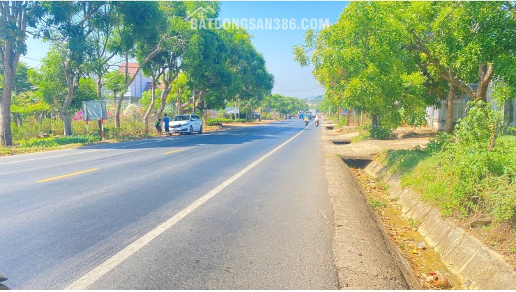 Đất mặt tiền quốc lộ 20, phú hội cũ, đức trọng, lâm đồng