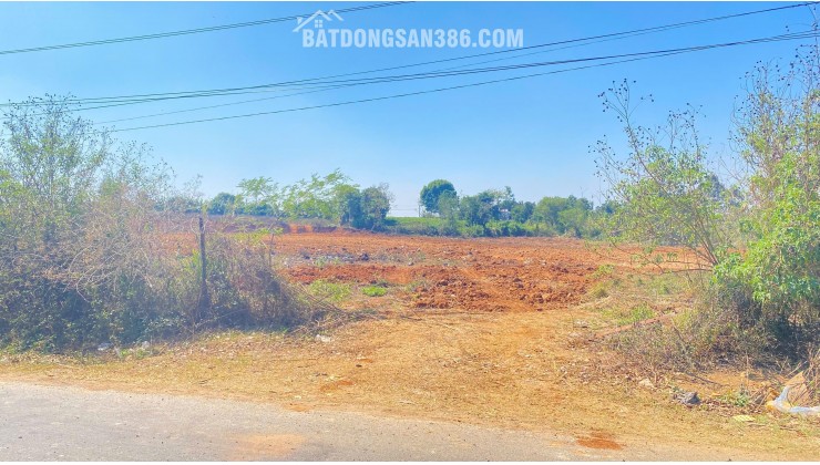 1ha mặt tiền nhựa chính vào thác Pongour, phú hội cũ, đức trọng, lâm đồng