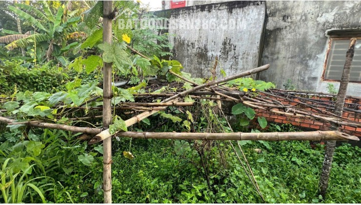 LÔ ĐẤT TIỀM NĂNG TẠI BÌNH NHÂM THUẬN AN. 10X15 SẴN SỔ, CHỈ 4.3TỶ. LH:0399058768