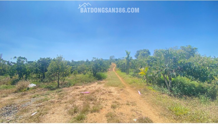 Đất hẻm ql28B, ninh gia, đức trọng cũ, lâm đồng 3,7 héc ta ( 37.000m2 )