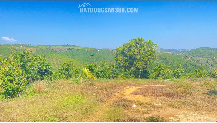 Đất hẻm ql28B, ninh gia, đức trọng cũ, lâm đồng 3,7 héc ta ( 37.000m2 )