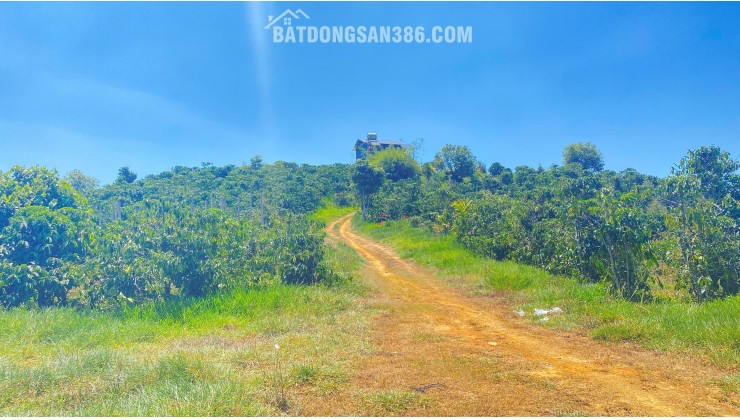 Đất hẻm ql28B, ninh gia, đức trọng cũ, lâm đồng 3,7 héc ta ( 37.000m2 )