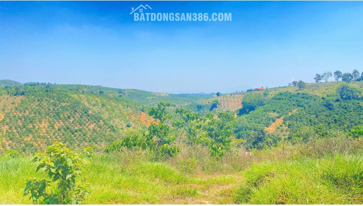 Đất hẻm ql28B, ninh gia, đức trọng cũ, lâm đồng 3,7 héc ta ( 37.000m2 )