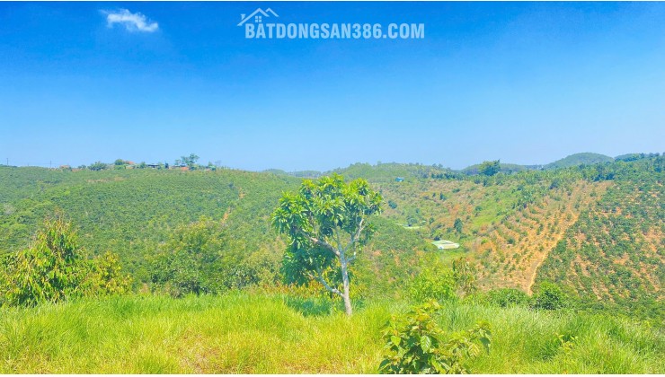 Đất hẻm ql28B, ninh gia, đức trọng cũ, lâm đồng 3,7 héc ta ( 37.000m2 )