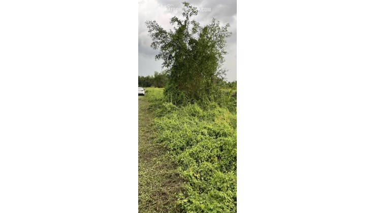 KẸT  TIỀN CẦN BÁN LÔ ĐẤT 2 MẶT TIỀN :DT 8M X 86= 688M2 CHỈ 1.6 TỶ. LH:0903198949.