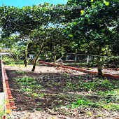 210m² THỔ CƯ, NGAY CHỢ HÀM NGHI – TP LONG KHÁNH – ĐN. CƠ HỘI X2,3 TÀI SẢN.