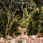 Gia đình bán gấp BT Linh Đàm 180m thanh máy kinh doanh lô góc giá đầu tư 270 triệu/m