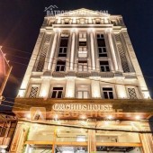 Quận 7, Bán Gấp Tòa CHDV 8 Tầng, 94 Phòng, 15x30m, Tại Khu Dân Cư Tân Quy, 165 Tỷ,