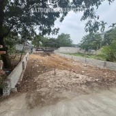 CHỦ GỬI LÔ ĐẤT GẦN TIỂU HỌC CỔ ĐÔNG GIÁ MỀM NHƯ BÚN