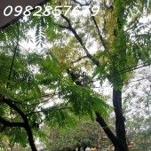 Bán liền kề Láng Hạ,Giarng Võ dt110m2, mặt tiền rộng 7,5  tầng, vị trí đẹp hàng hiếm