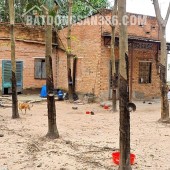 BÁN NHÀ & ĐẤT GẦN TỈNH LỘ 15 – AN NHƠN TÂY, TP.HCM