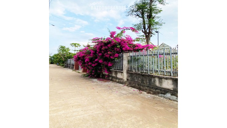 ĐẤT NỀN THỌ TÂN – P XUÂN LỘC – ĐN. GIÁ CHỈ 490Tr. 100% OĐT