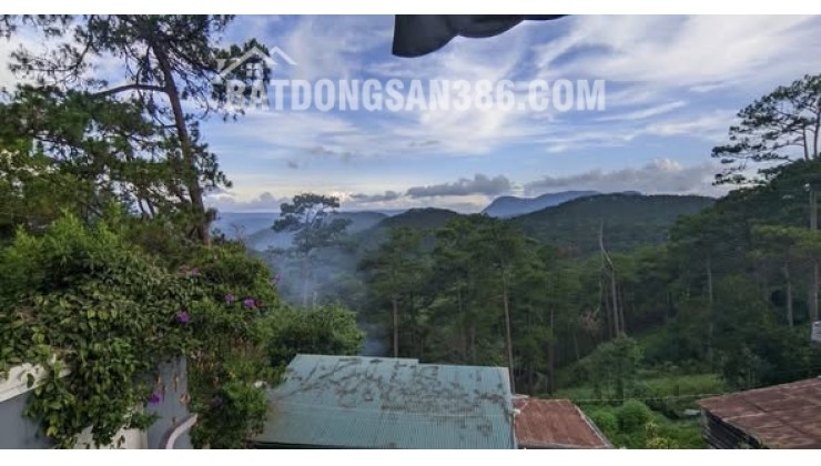 Bán biệt thự