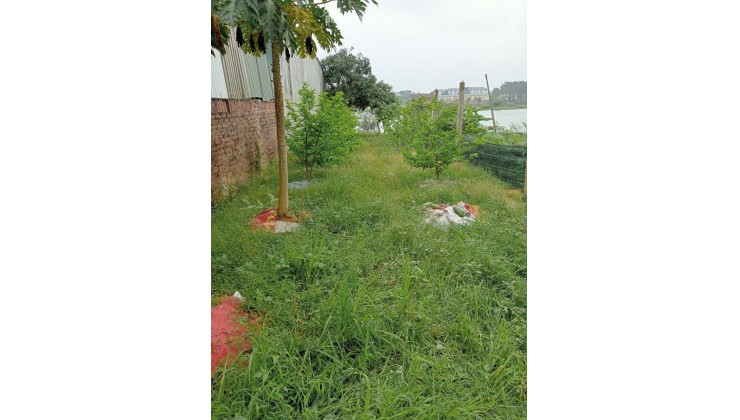 Chính chủ cần bán lô đất vàng siêu đẹp tại Sóc Sơn - Giá chỉ 12 triệu m2 - Vị trí đắc địa