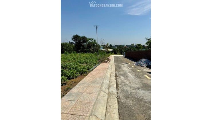 100m full thổ cạnh quỹ đất giáo dục mới tại Phú Cát – cơ hội đầu tư sáng giá tại Hoà Lạc