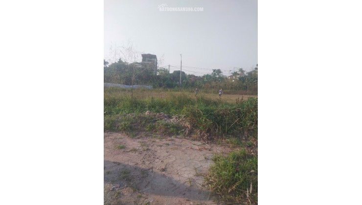 CHO THUÊ 6.500M² ĐẤT BÃI TẠI LINH ĐƯỜNG, HOÀNG LIỆT, HOÀNG MAI - HÀ NỘI - GIÁ TỐT
