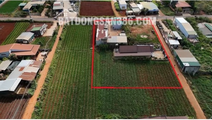 BÁN ĐẤT Ở BỒNG LAI - ĐỨC TRỌNG